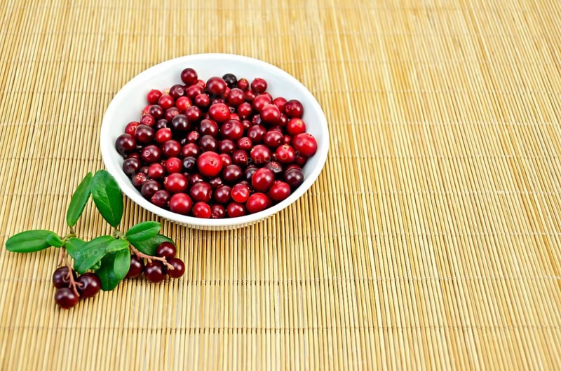 Cranberry in a white porcelain bowl, two branches with berries and green leaves on a bamboo mat
