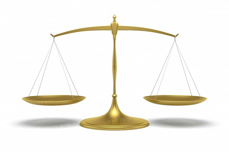 An image of a fine golden libra