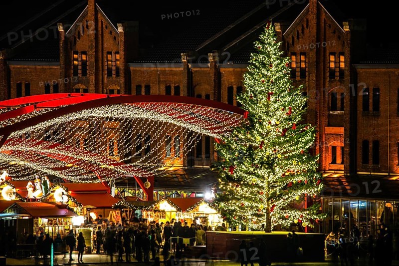 Red brick warehouse and the Christmas tree. Shooting Location: Yokohama-city kanagawa prefecture
