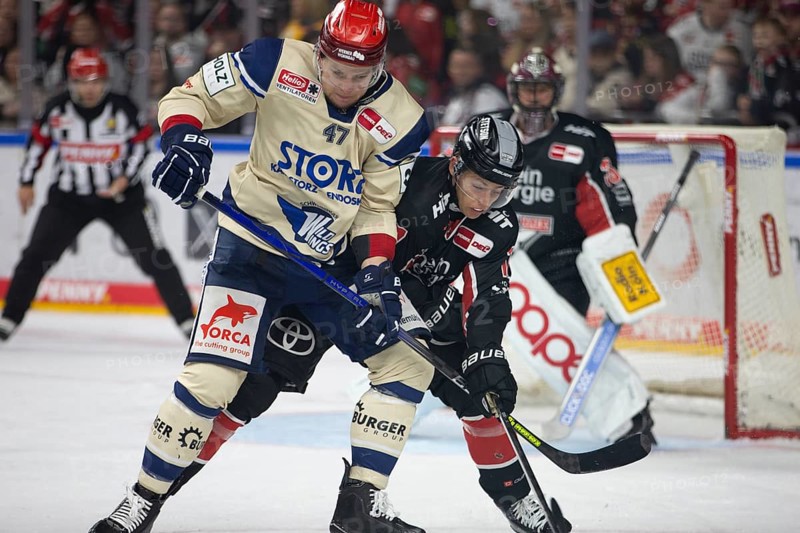 LanxessArena, Cologne, North Rhine-Westphalia, Alexander Karachun (Schwenninger Wild Wings, #47), Jan-Luca Sennehnn (Koelner Haie, #17), PENNY DEL, Kölner Haie- Schwenninger Wild Wings on 11/10/2024 at the LanxessArena in Cologne Germany