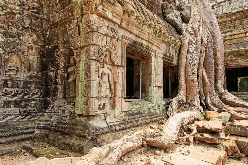 Ta Prohm temple complex near Angkor Wat in Cambodia