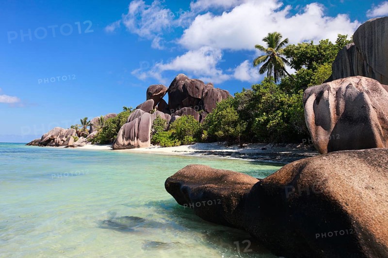 La Digue, Palm tree beach, Seychelles, Indian Ocean, Palm trees, La Digue, Indian Ocean, Seychelles, Africa