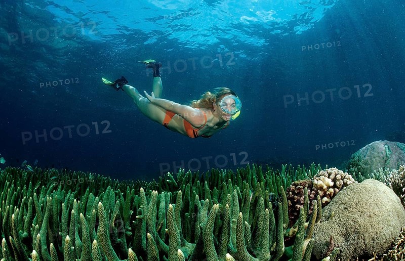 Two woman snorkelling, Bali, Indian Ocean, Indonesia, Asia