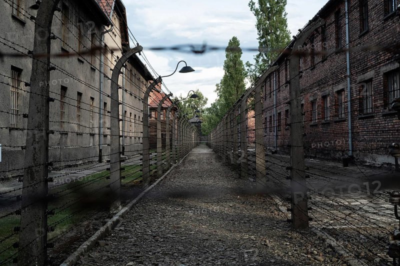 Barbed wire fence in a German concentration camp from World War II