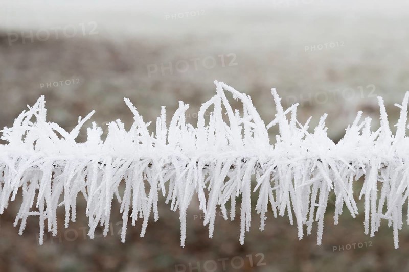Hoarfrost on a fence white frost on a fence