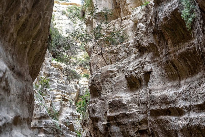 Avagas Gorge in the western part of Cyprus
