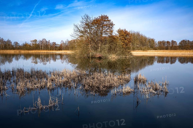 Winter walk along the ponds near Holscha in the Upper Lusatian heath and pond landscape 8