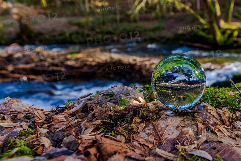 Crystal ball shows reflection of nature in quiet forest atmosphere, Perlbachtal, NIederbayern