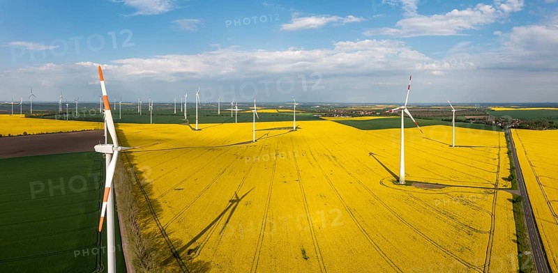 Green energy generation Wind turbines in a landscape with rapeseed fields