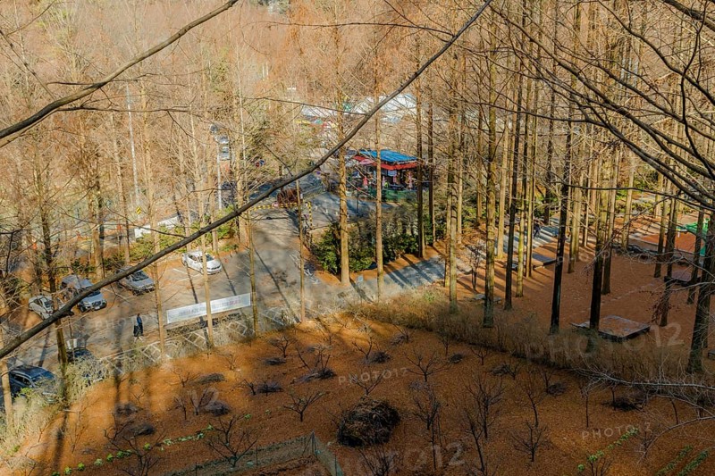 Daejeon, South Korea, December 15, 2019: Winter aerial view of street and coffee shop through leafless trees at Jangtae mountain national park, Asia