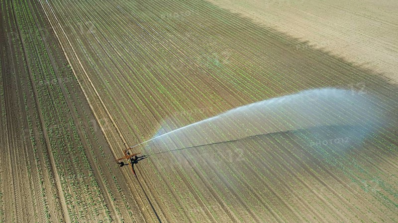 Irrigation equipment watering field. Aerial view. Irrigation of a young plants