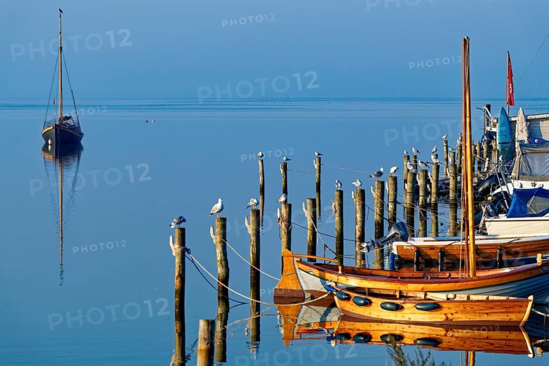 Single boat and seagulls on piles reflected in the calm blue water, Salzhaff with lagoon jetty, Rerik, Mecklenburg-Vorpommern, Germany, Europe