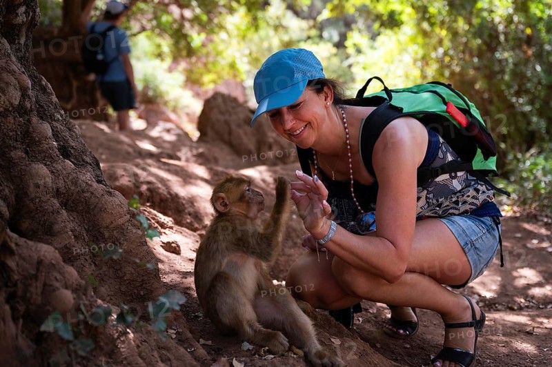 The tourist is having fun with macaque monkey near the Ouzoud waterfall, Morocco, Africa