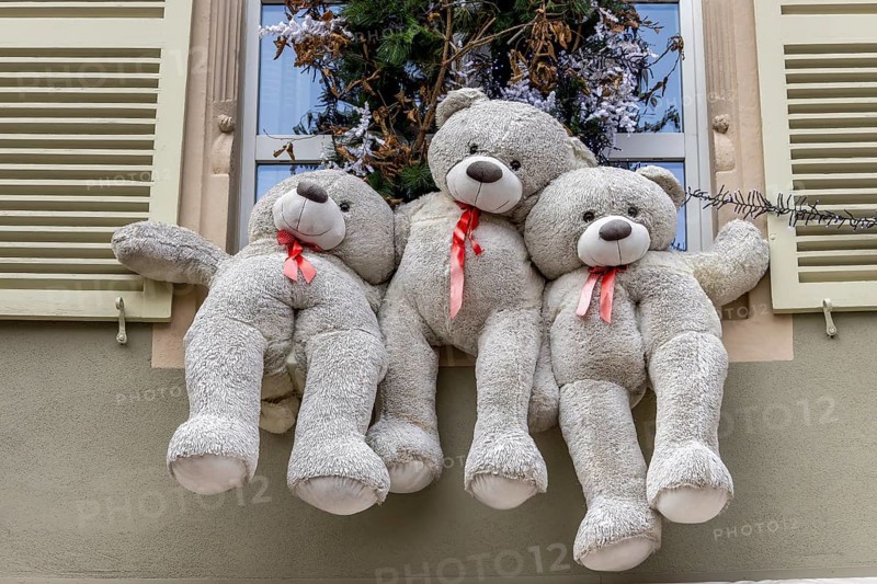 Christmas decorated building windows with three white teddy bears, Colmar, Alsace, Département Bas-Rhin, France, Europe