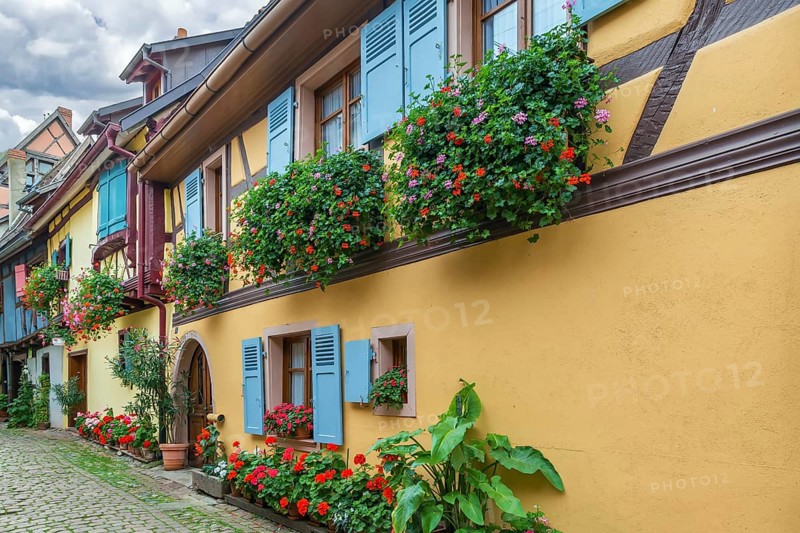 Picturesque historical street in Eguisheim, Alsace, France, Europe