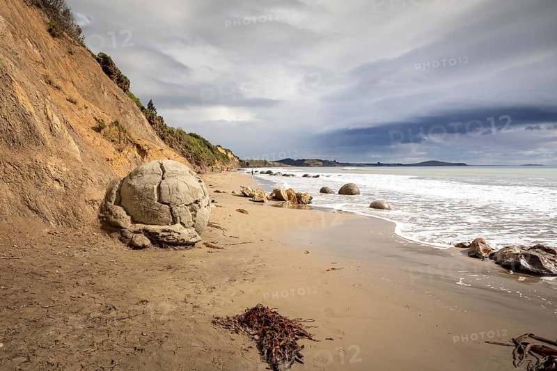 An image of the boulders at the beach of Moeraki New Zealand