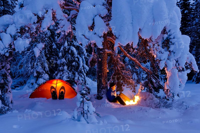 Man sitting next to his illuminated tent under a tree by a campfire, Hedmarksvidda, Hedmark Fylke, Norway, December 2011, Europe