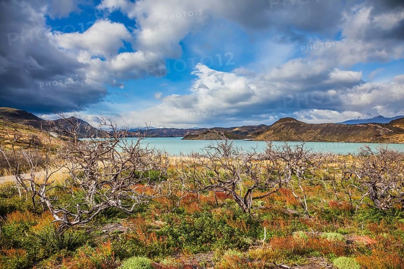Strong winds of Patagonia. Chile, Patagonia, Torres del Paine National Park - Biosphere Reserve. The concept of eco-tourism