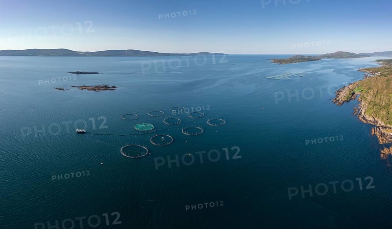 An aerial view of a salmon fish farm in Bantry Bay in County Cork of western Ireland