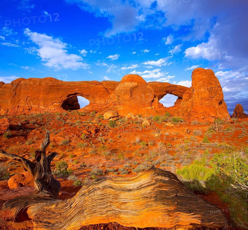Arches National Park Windows section in Moab Utah USA