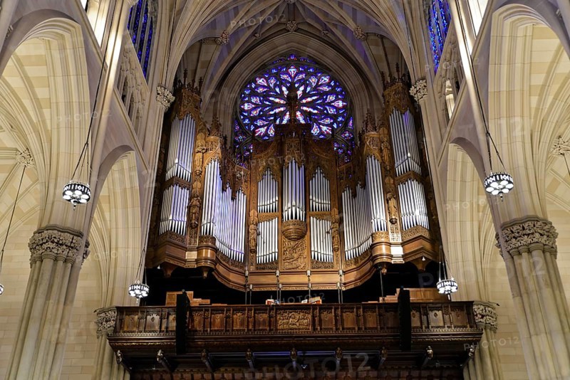 Saint Patricks Old Cathedral or Old St. Patricks, Lower Manhattan, Majestic organ with decorations in a Gothic church, Manhattan, New York City, New York, USA, North America