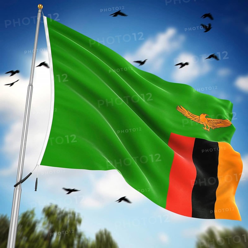Flag of Zambia, This is a computer generated and 3d rendered image