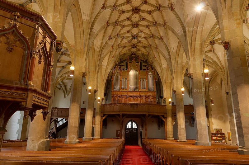 Collegiate Church of St Peter and Paul, Nave, Organ, Öhringen, Hohenlohe, Germany, Europe