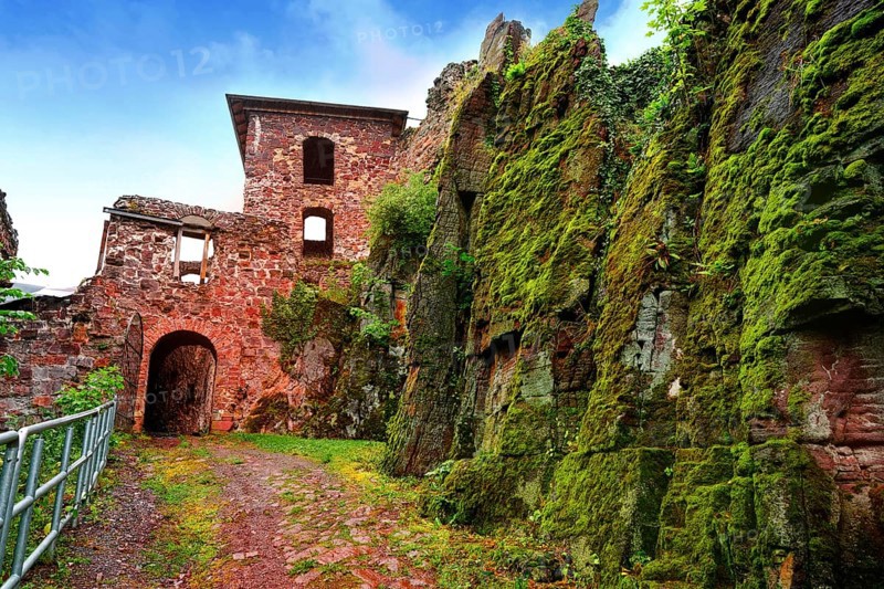 Burg Hohnstein ruins in Harz Neustadt of Germany