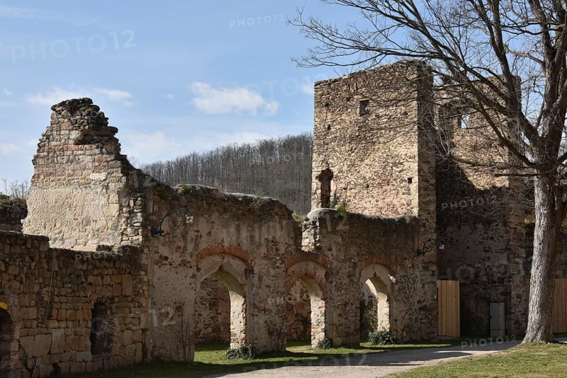 Gars am Kamp castle ruins, Austria, Europe