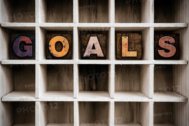 The word GOALS written in vintage ink stained wooden letterpress type in a partitioned printer's drawer