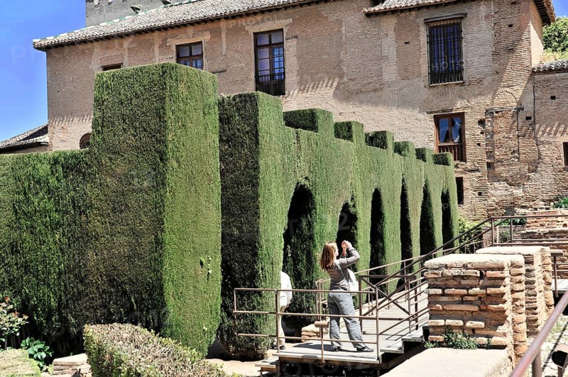 Alhambra, Granada, Andalusia, Spain, People taking pictures during a walk in front of cypresses, Alhambra, Granada, Andalusia, Spain, Europe