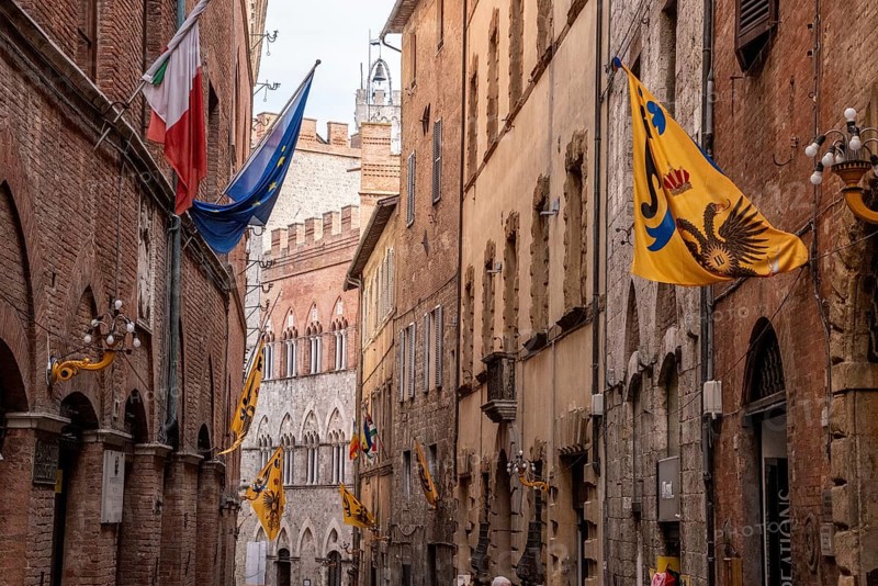 Contrade flags of the Aquila-Eagle district hanging in a street of downtown Siena, Italy, Europe
