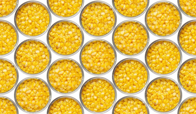 Seamless food background of flat lay view of opened tin cans with sweet corns isolated on white background. Clipping path added