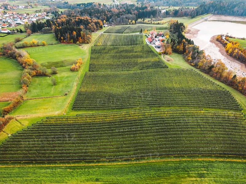 Aerial view of orchard somewhere in the countryside. Apple orchard, covered with protective net