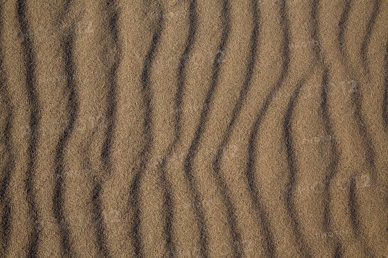 Beach sand dunes texture from California Pacific coast