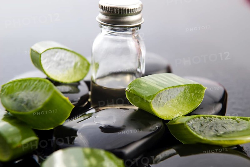 Sliced aloe leaves with oil on the stone, lodz, poland