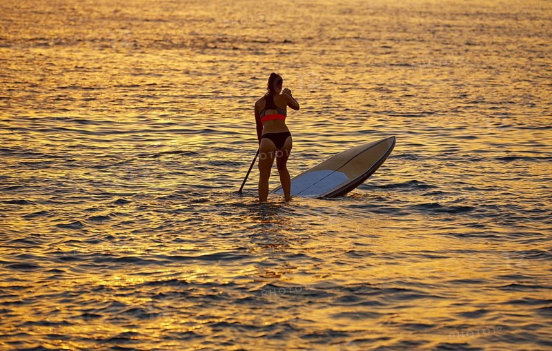 SUP Stand up Surf girl with paddle at sunset