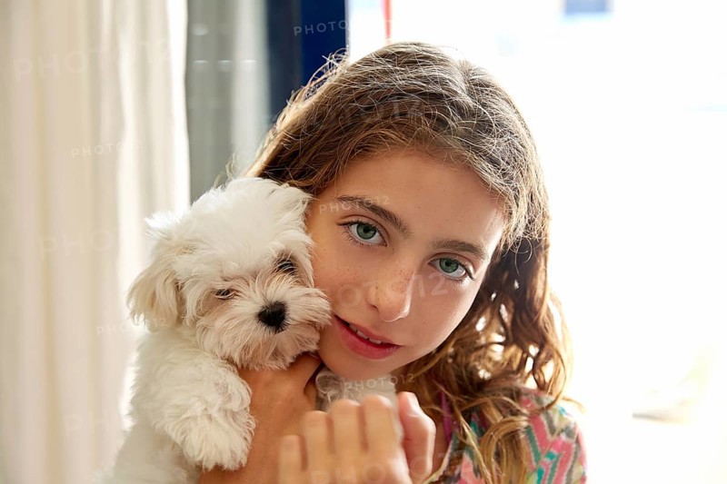 Kid girl with puppy white dog maltichon smiling