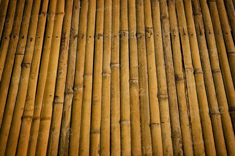Detail of bamboo surface