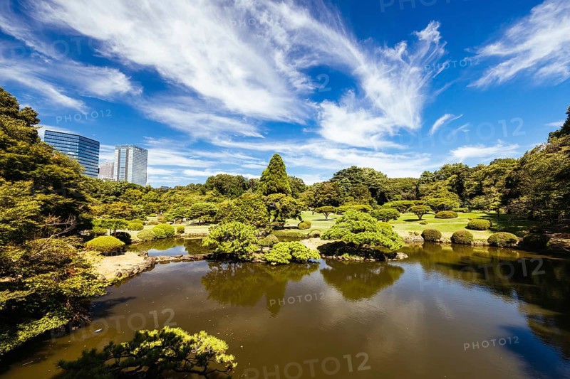 Shinjuku Gyo-en is a large park and garden in Shinjuku and Shibuya, Tokyo, Japan, Asia