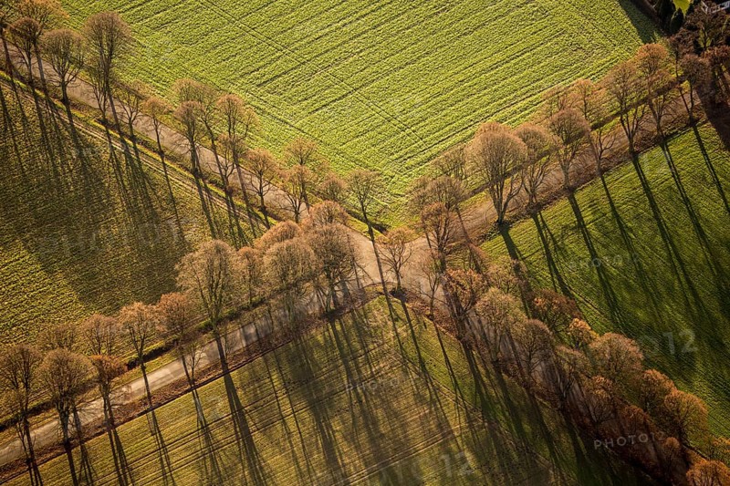 Wayside cross with avenue of trees in autumn. Lines, line management, aerial view
