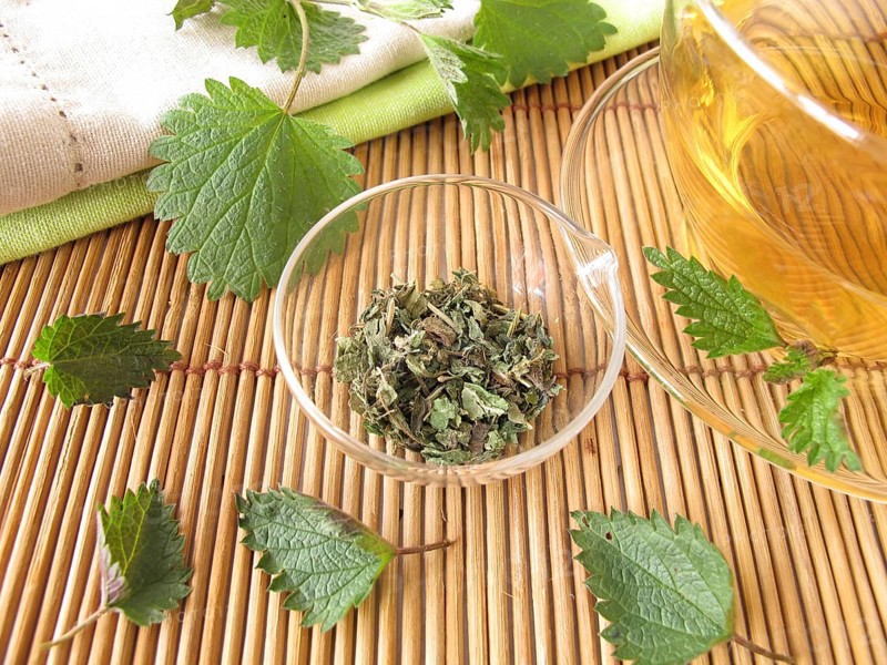 Nettle tea