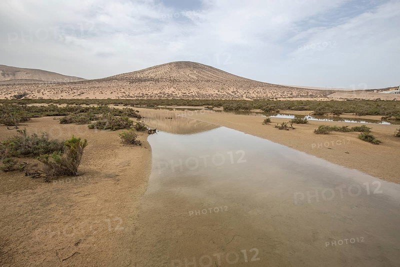 A sandy beach with a shallow lagoon by the sea. Barren landscape, taken in the evening. sandy beach landscape at Playa de Sotavento de Jandía, Fuerteventura, Canary Islands, Spain, Europe