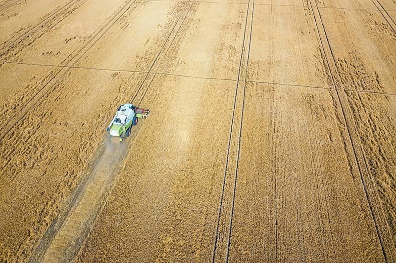 Combine harvester working on a wheat field. Combine harvester Aerial view
