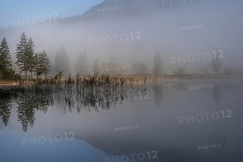Morning fog at Ferchensee near Mittenwald