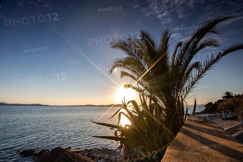 View through palm trees on a sandy beach into the sunset. Landscape shot with view to the horizon over the wide sea at the coast of Ouranoupoli, Thessaloniki, Central Macedonia, Greece, Europe