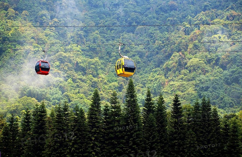 Gondolas of a ropeway travel above a misty forest