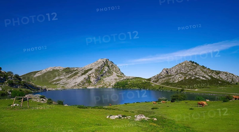 Enol lake at Picos de Europa in Asturias of Spain