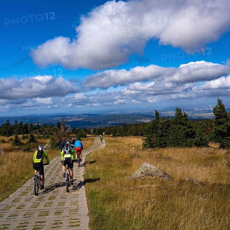 On the mountain bike on the brocken