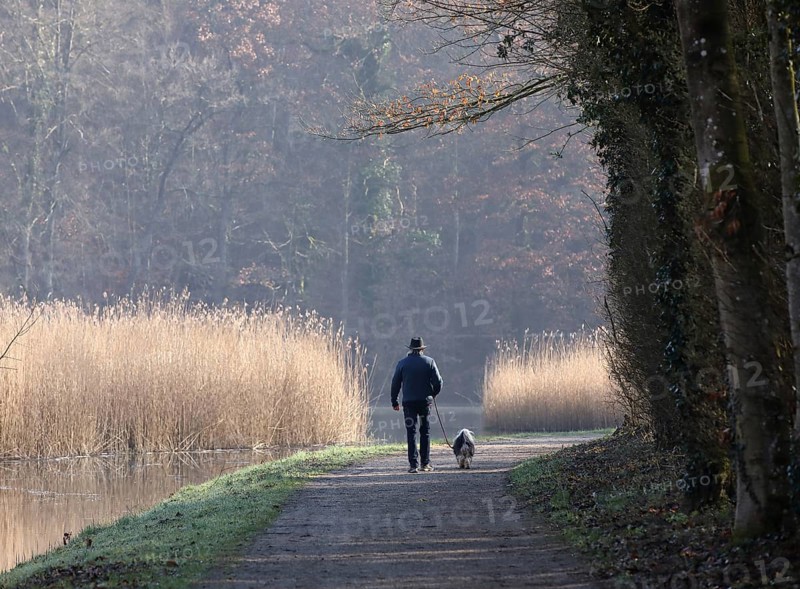 Elderly man walking a small dog on the shore of a lake, morning calm in autumn, Burghausen, Upper Bavaria, Bavaria, Germany, Europe